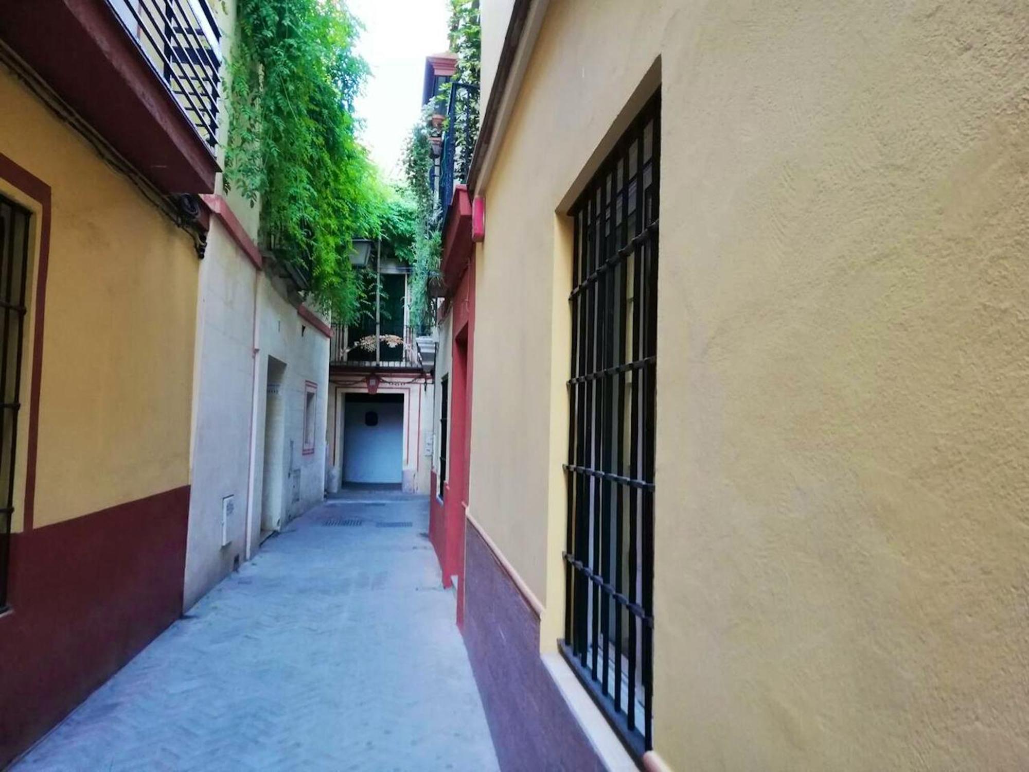 Modern In With Air Conditioning 55 M² Appartement Séville