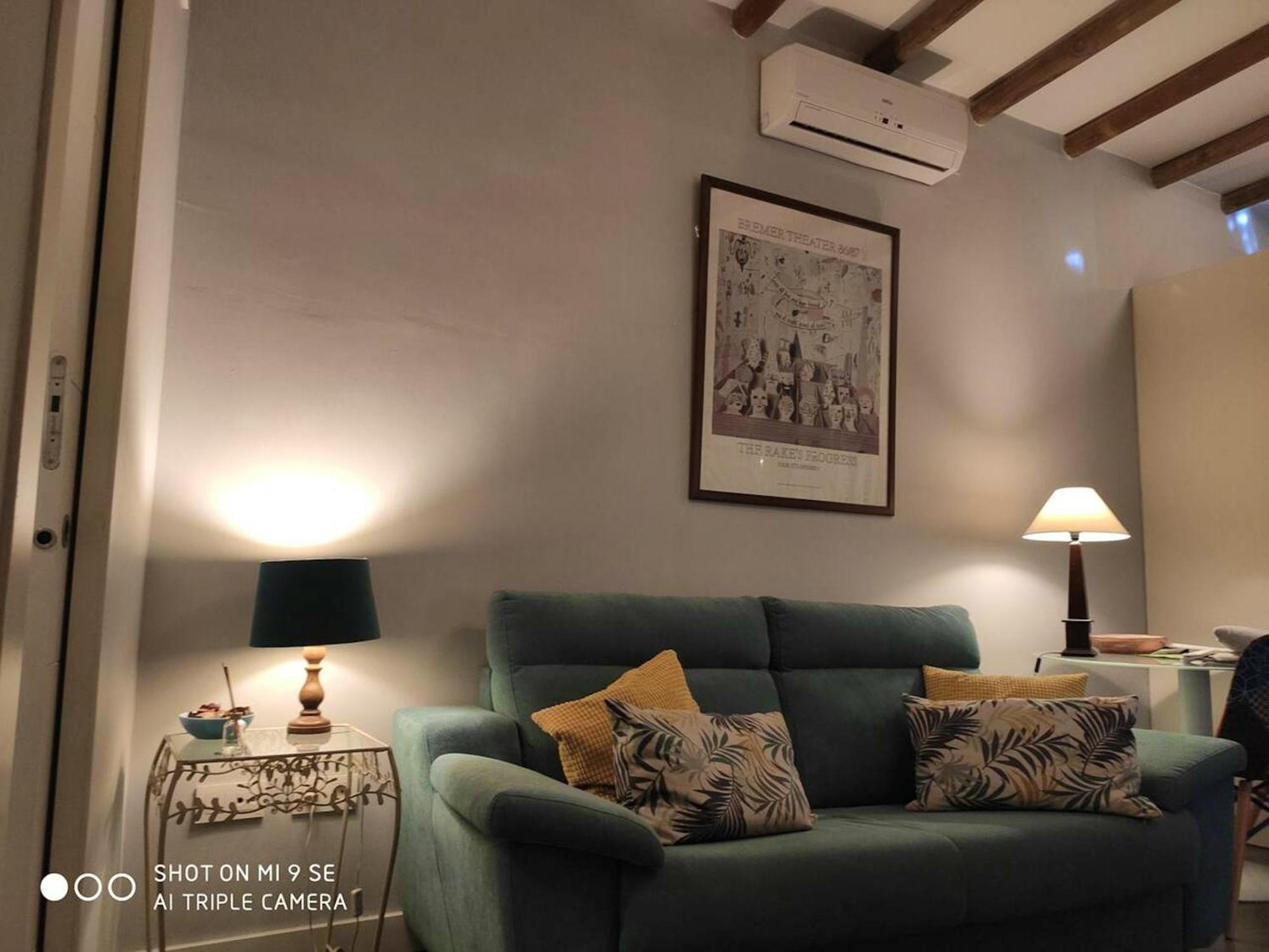Modern In With Air Conditioning 55 M² * Séville
